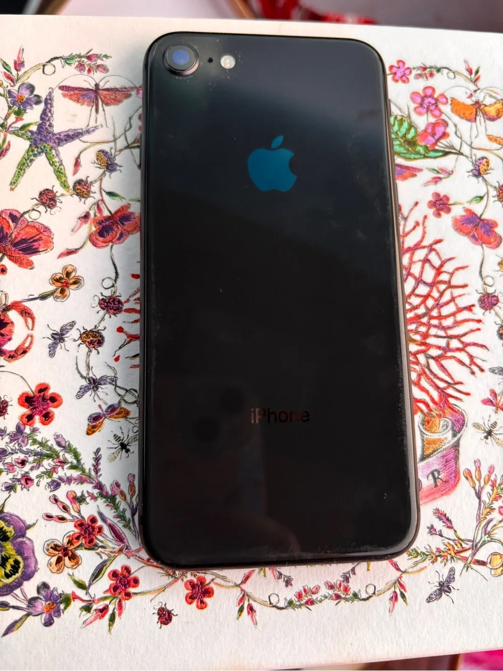 Apple iPhone Black Front Display with Silver Edge